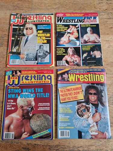 Lot pro wrestling - 4,