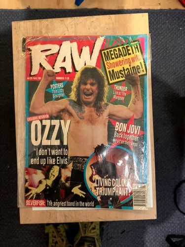 Raw hard rock - rock, metal